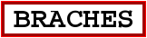 Image du panneau de la ville Braches