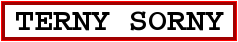 Image du panneau de la ville Terny Sorny